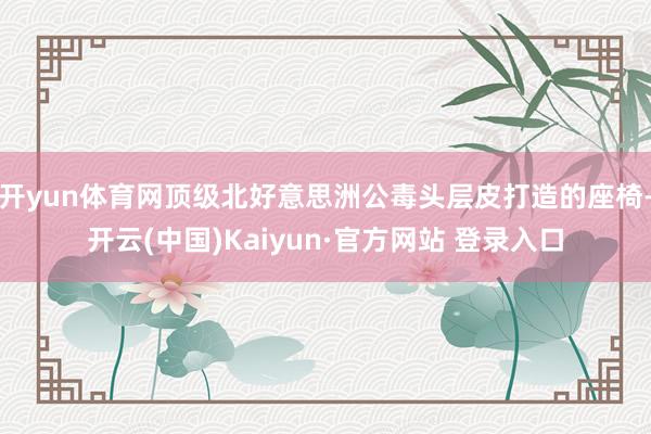 开yun体育网顶级北好意思洲公毒头层皮打造的座椅-开云(中国)Kaiyun·官方网站 登录入口